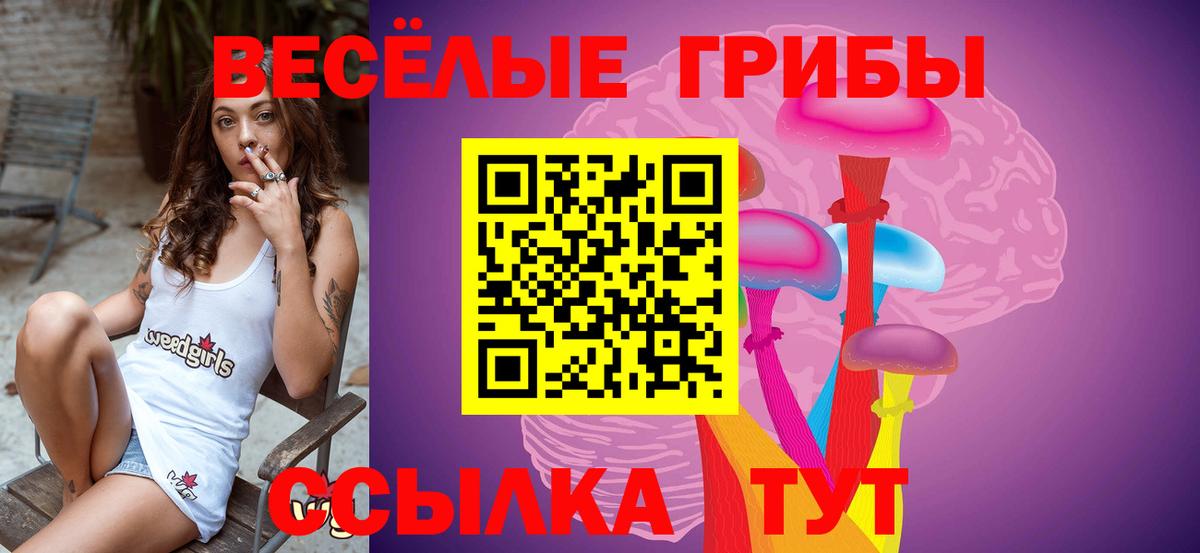 Ярцево  Псилоцибиновые грибы Magic Shrooms  Вход с VPN  Псилоцибиновые грибы Psilocybe 